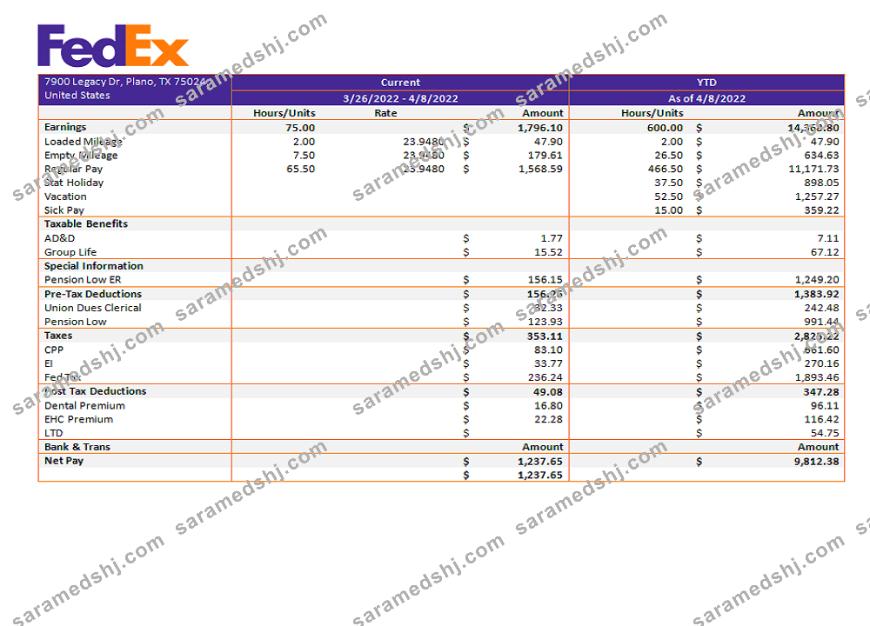 USA Fedex transportation company pay stub